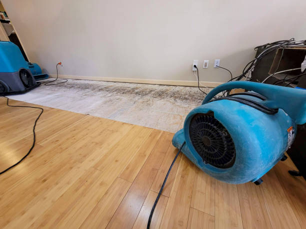 Professional Water Damage Repair technician working in Fillmore, UT